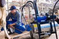Мобильная доильная установка MMU компании DeLaval